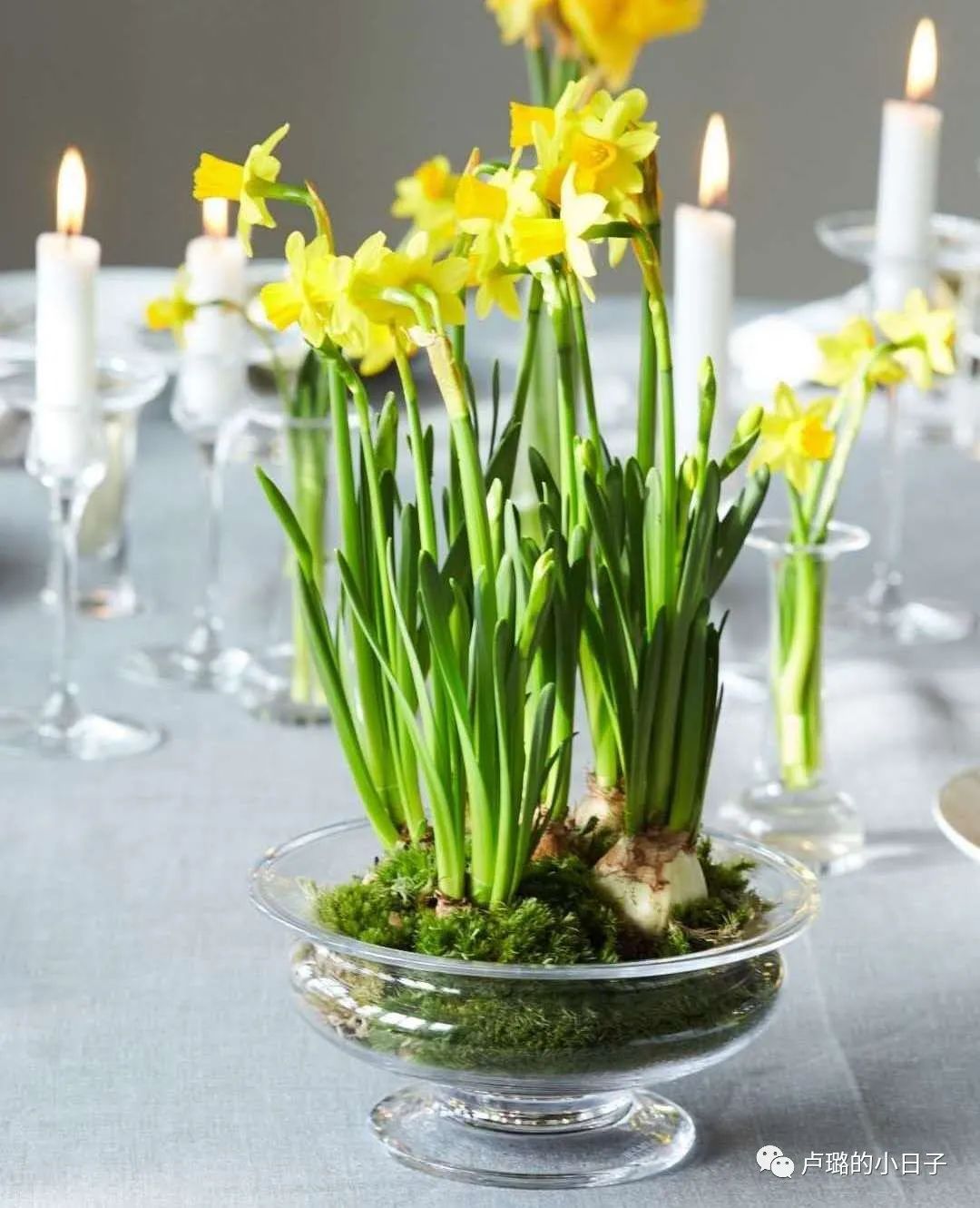 爱马仕最漂亮的花瓶,爱马仕最美花瓶