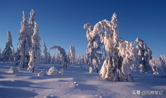 你知道世界上最冷的地方在哪里嘛,世界最冷的地方纪录片