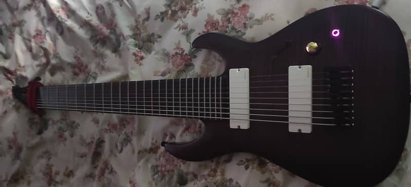 在高手如林的比赛中获胜,世界顶级四位吉他大师