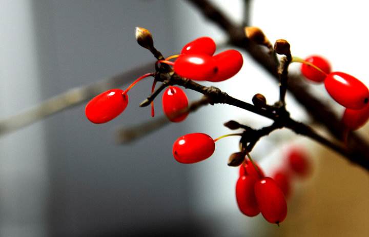 大唐宰相家搜出胡椒,为何要被处以死刑?