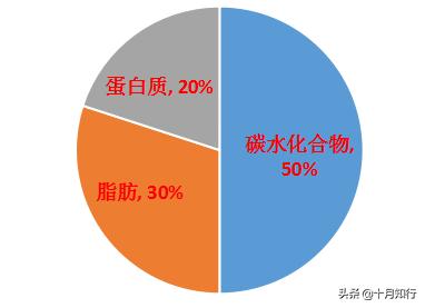 减脂瘦肚子练腹肌的动作,减脂训练腹肌最有效方法
