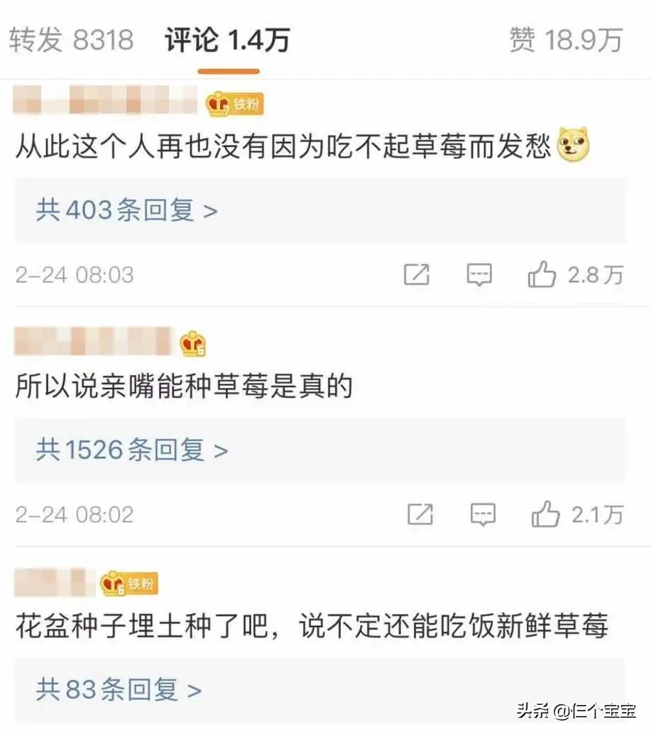 草莓籽藏在牙里发芽了,草莓籽在嘴里发芽