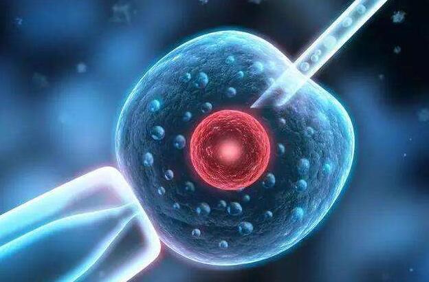 关于试管婴儿，流传最久的6大谣言，至今还有人会上当