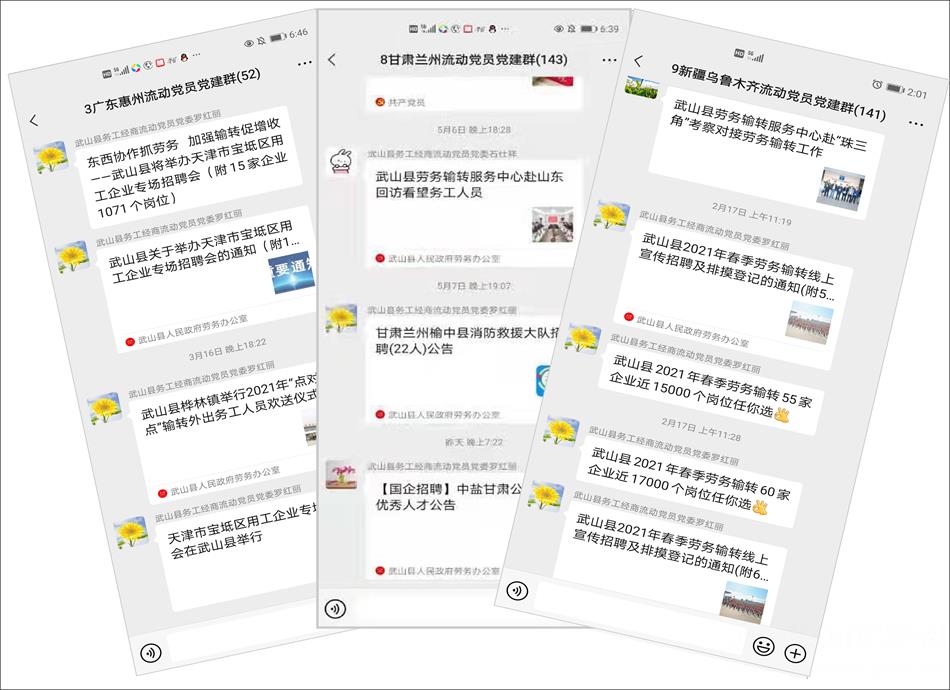 武山县务工经商流动*党**员*党**委开展七项活动喜迎中国*产党共**百年华诞