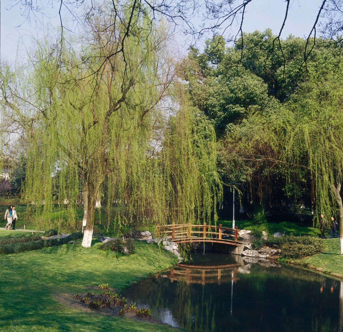 杭州旅游全攻略必去景点,杭州旅游必去的景点攻略路线