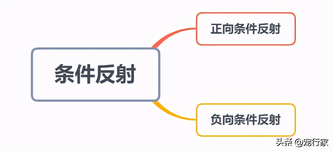 第一次养狗坚持不下去了,养狗养到想放弃狗怎么办