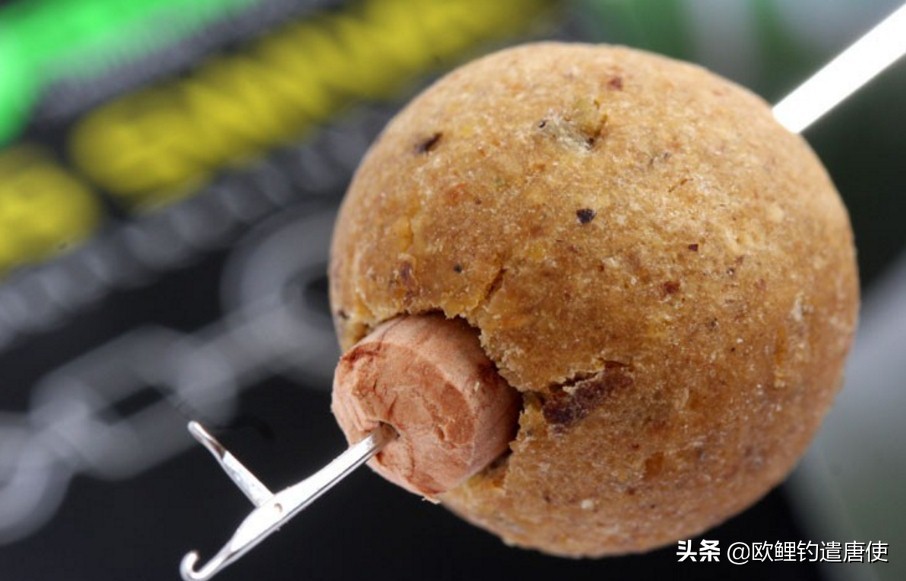 话说欧鲤钓组全集,欧鲤钓组可以钓哪些鱼