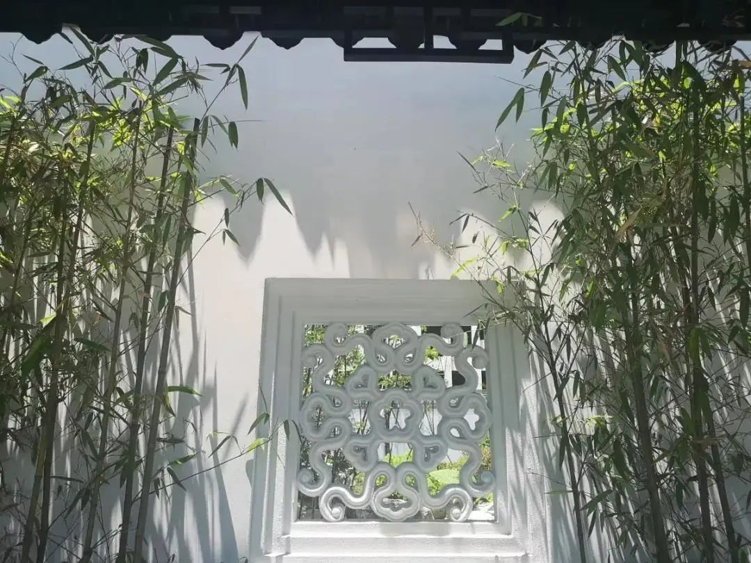 都江堰一楼带院子的房子真实感受,都江堰住带花园一楼的真实感受