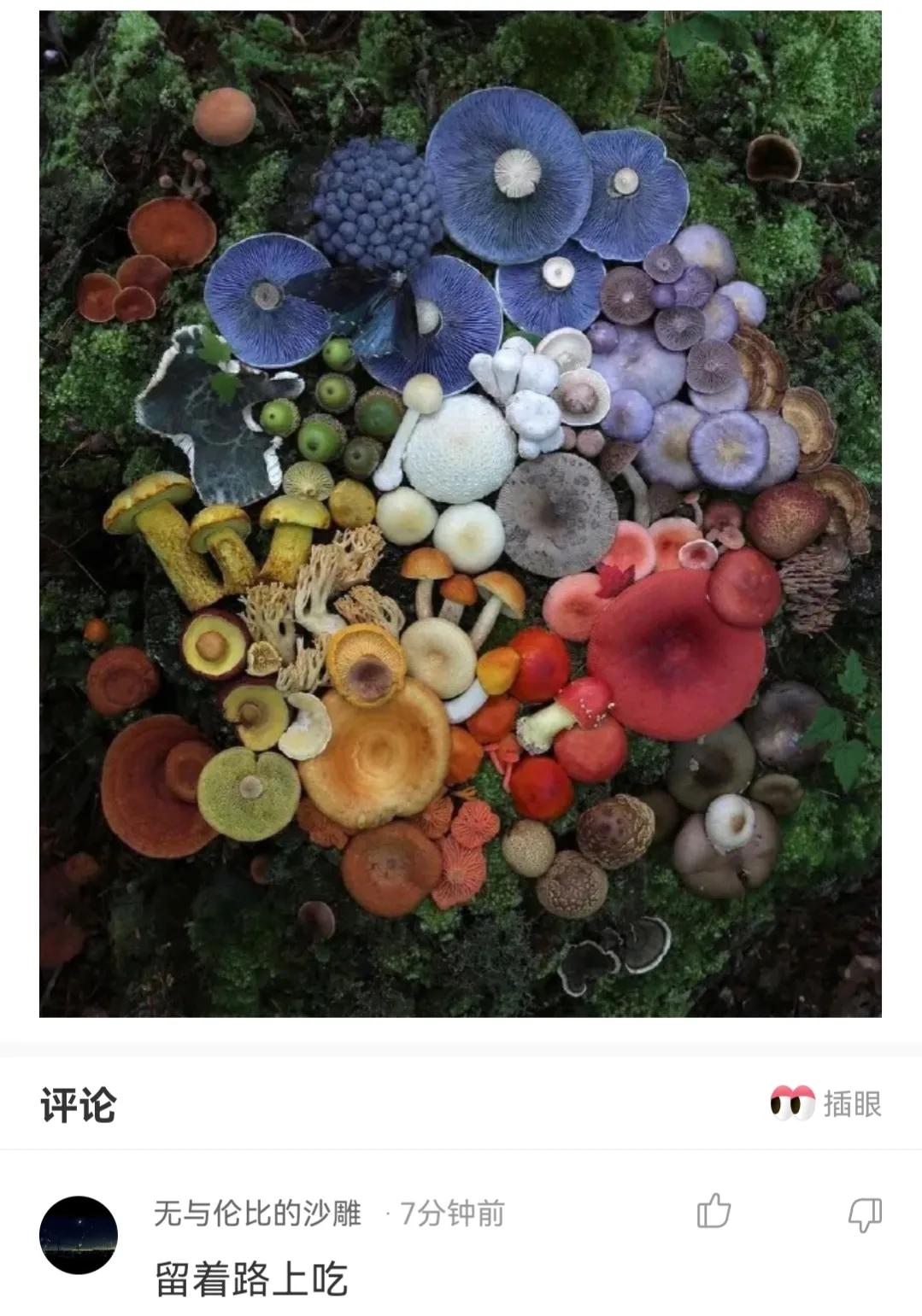 神回复,第一次跟人去打架,我该怎么做才显得自己不是新手?