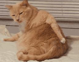 夏天怎么预防妇科问题高发,夏季妇科病的三种预防方法