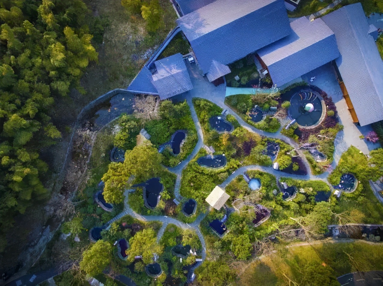 冬天九龙湖旅游攻略,冬天的九龙湖风景区图片