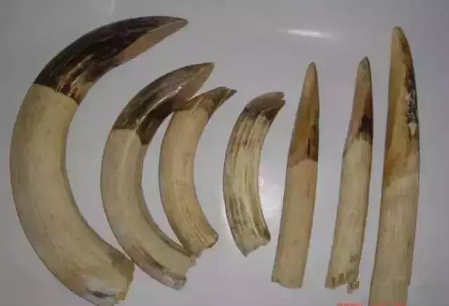 新手推荐的几种文玩,这九种文玩不能碰