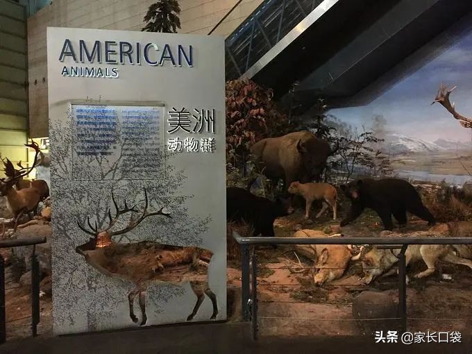 上海各大博物馆攻略,上海各大博物馆介绍