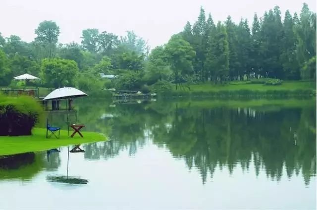 想住在既干净又安静的地方,青城山环境幽静旅游的好地方