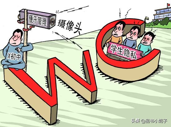 读荒野的呼唤有感400字,荒野的呼唤巴克是什么狗