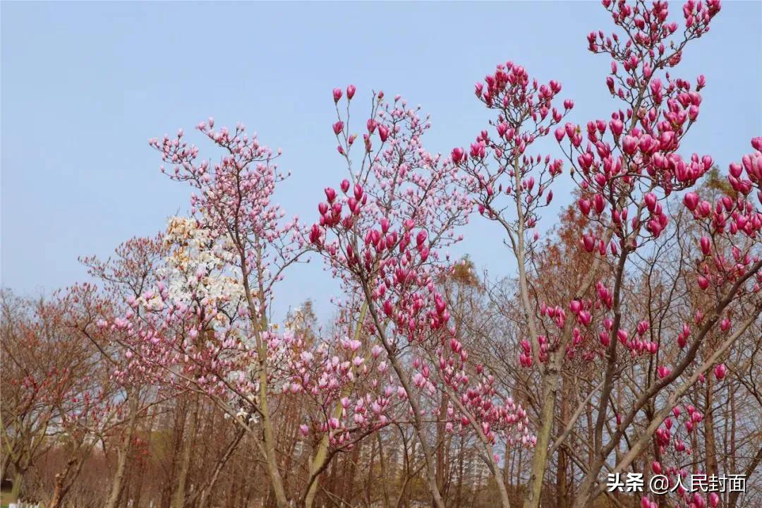 太湖骑行步道,无锡太湖骑行绿道