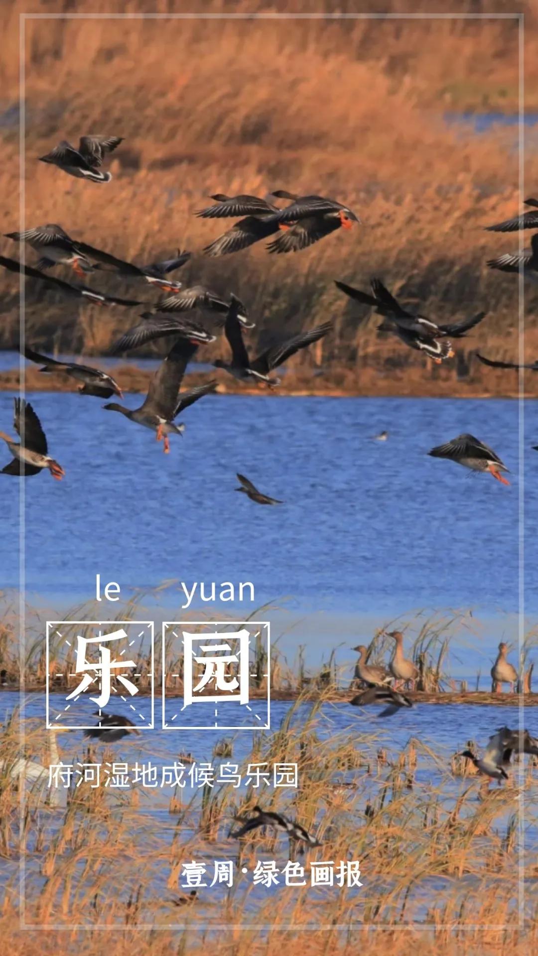 会玩!公园空降一批“暖宝宝”,只为给“老铁”暖暖心