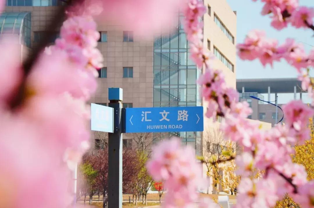 辽宁省高校(三十二)大连外国语大学