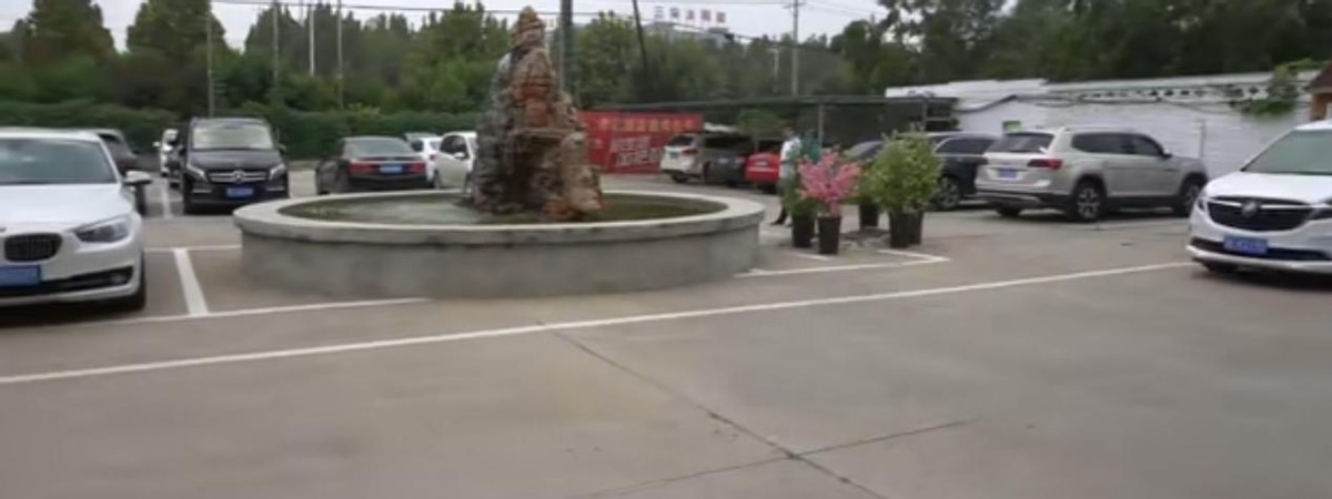 天价包子店,河北最红的包子店