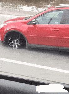 有一匹马不会动了是怎么回事,有一匹马不会动是怎么回事