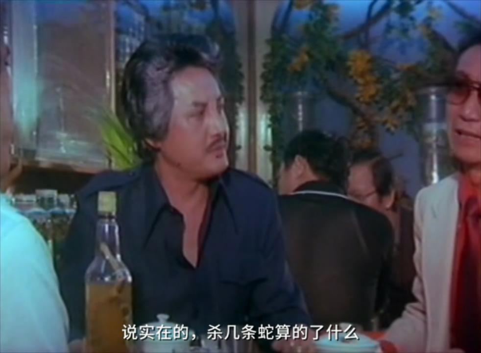 真蛇大战真实视频,拍人蛇大战用的是真蛇吗