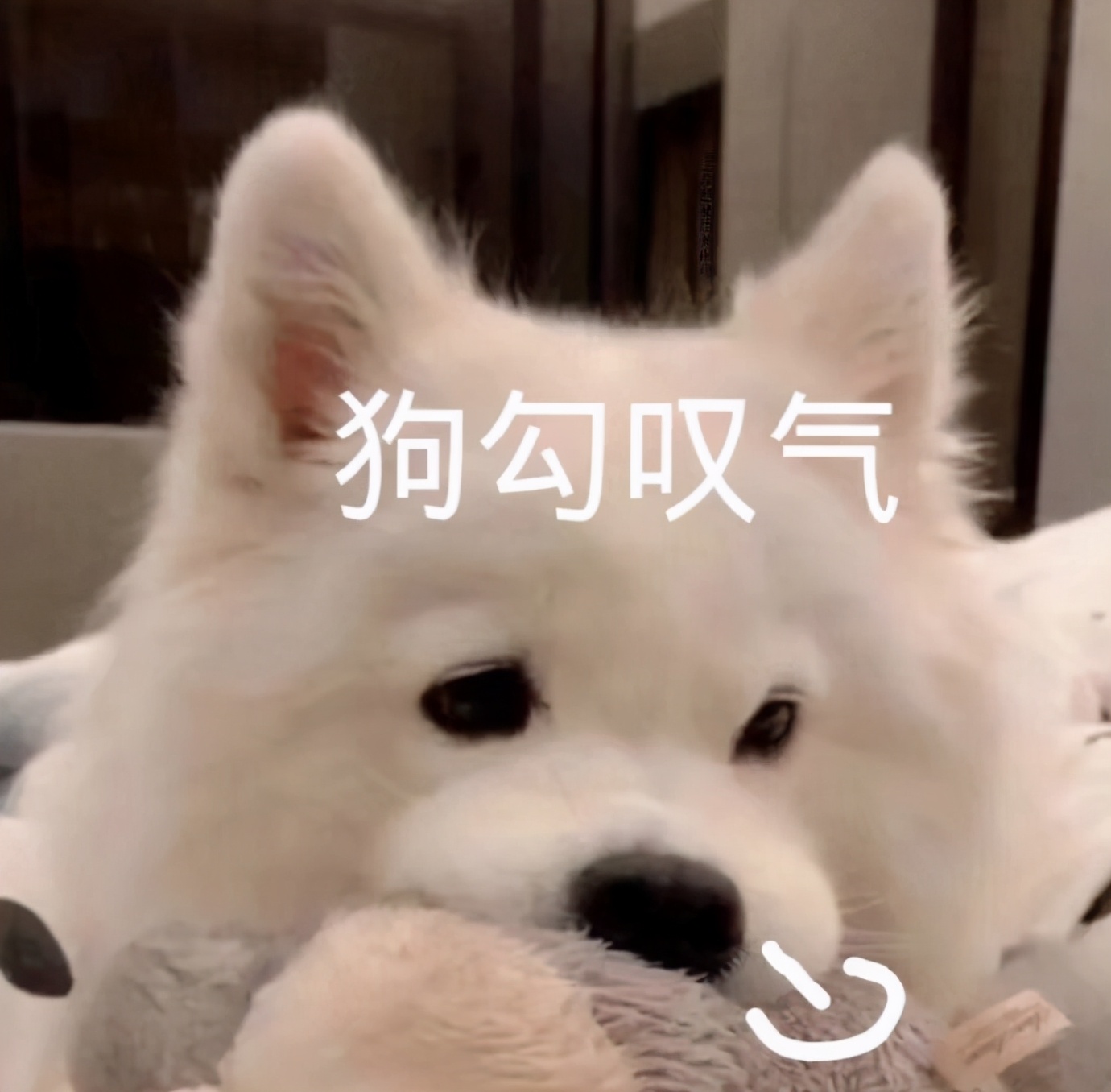 夏天干皮可以用控油的吗,一到夏天容易出油皮肤暗黄