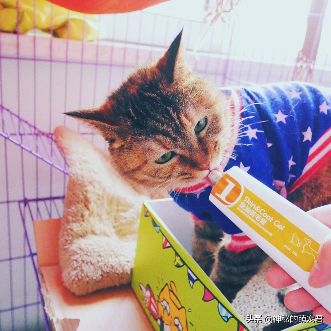 reddog猫咪化毛膏,reddog红狗化毛膏