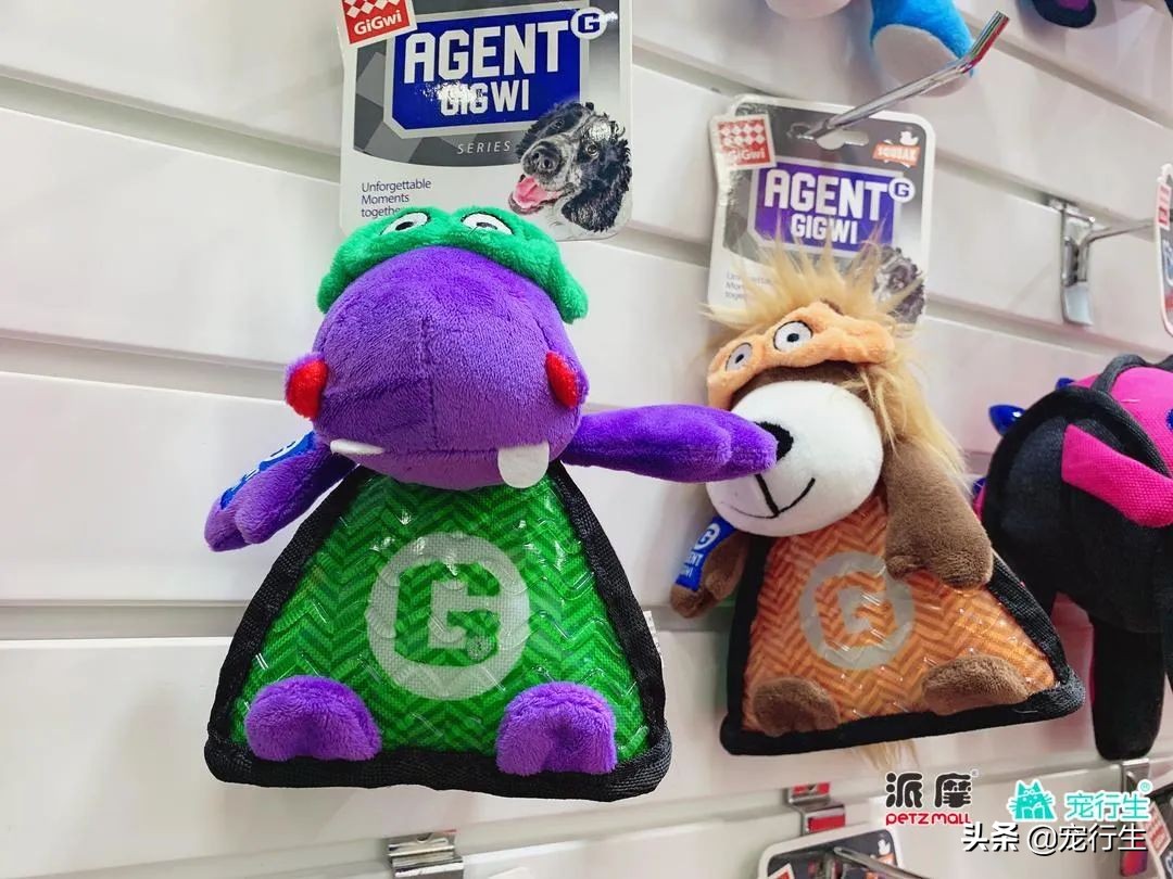 2020CIPS宠物展于广州开展，一大波萌物正在靠近