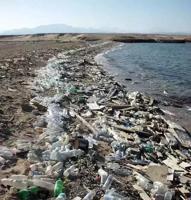 人类到底吃了多少塑料鱼?“深海勇士号”首次曝光海底巨型垃圾场