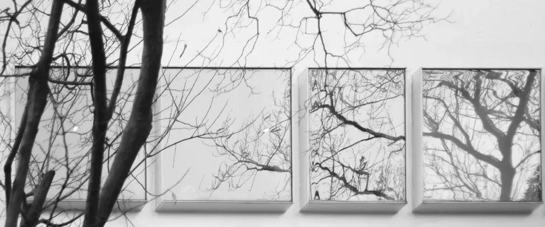 杭州西湖隐于山林之间的酒店,西湖云端酒店