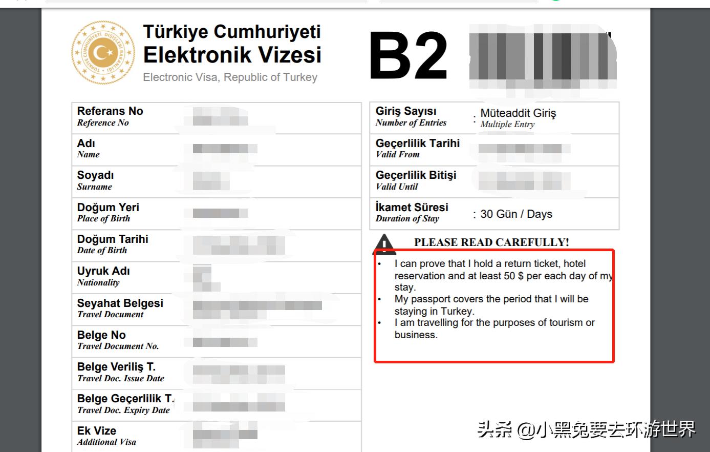 土耳其电子签证攻略大全,土耳其电子签证申请步骤详解