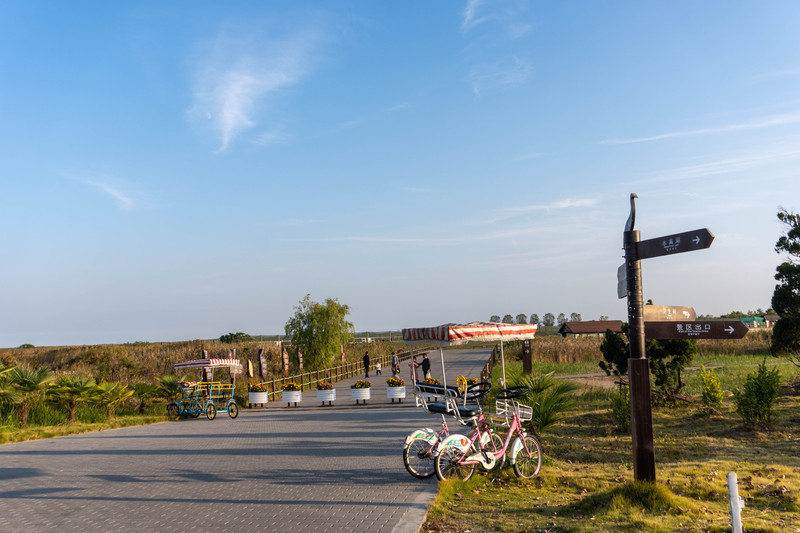 森林麋鹿公园,森林麋鹿