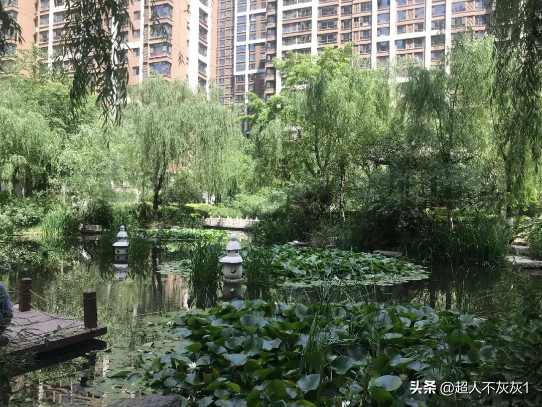 石家庄园林景观最好的小区：一流学区，江南水景，交房超过十年