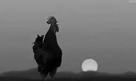 交公粮的农民老照片,农村交公粮老照片