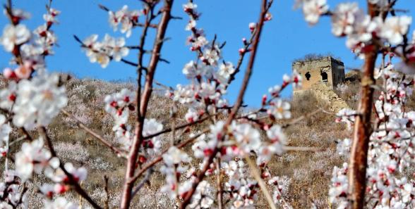 又是一年春光好完整版,又是一年春光好文明旅游
