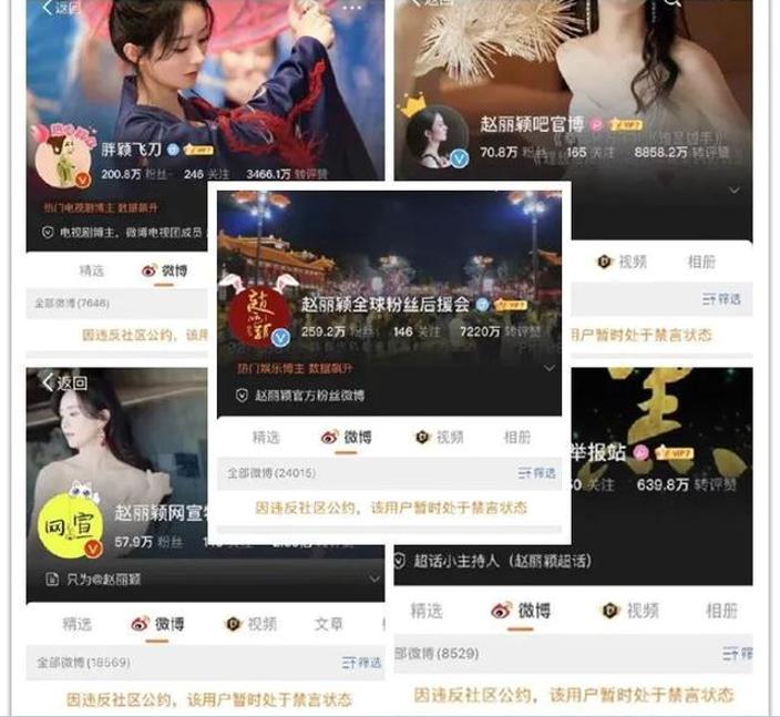 赵丽颖粉丝后援会简介,赵丽颖后援会如何加入