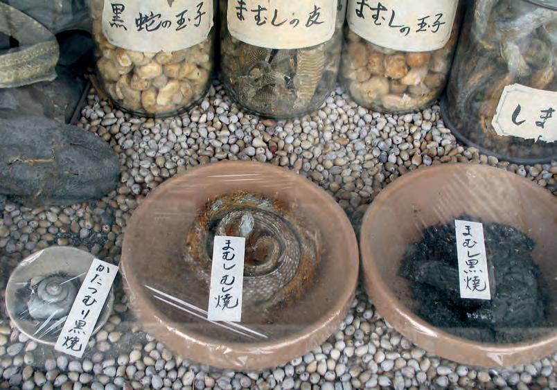 为什么中国人热衷于吃野生动物,中国人为什么喜欢用东西泡酒