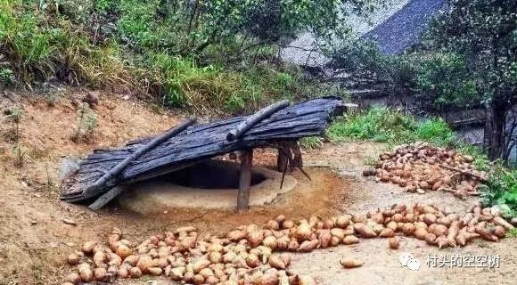 记忆中的野菜糍粑,儿时的红苕