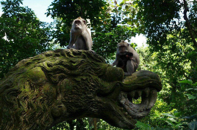自驾游去巴厘岛旅游攻略,马尔代夫巴厘岛旅游攻略