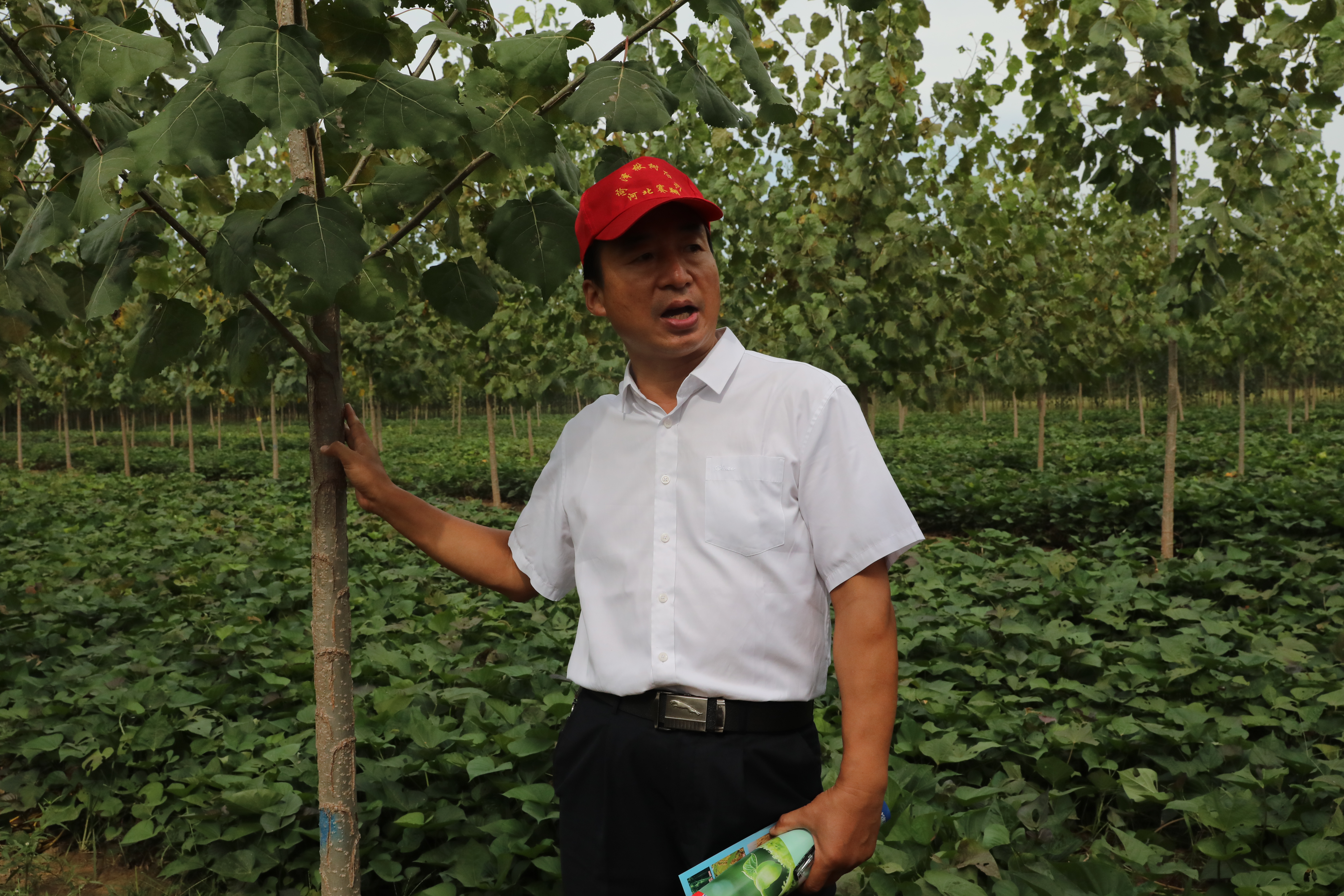 筑牢生态屏障,筑牢生态屏障守护美好家园