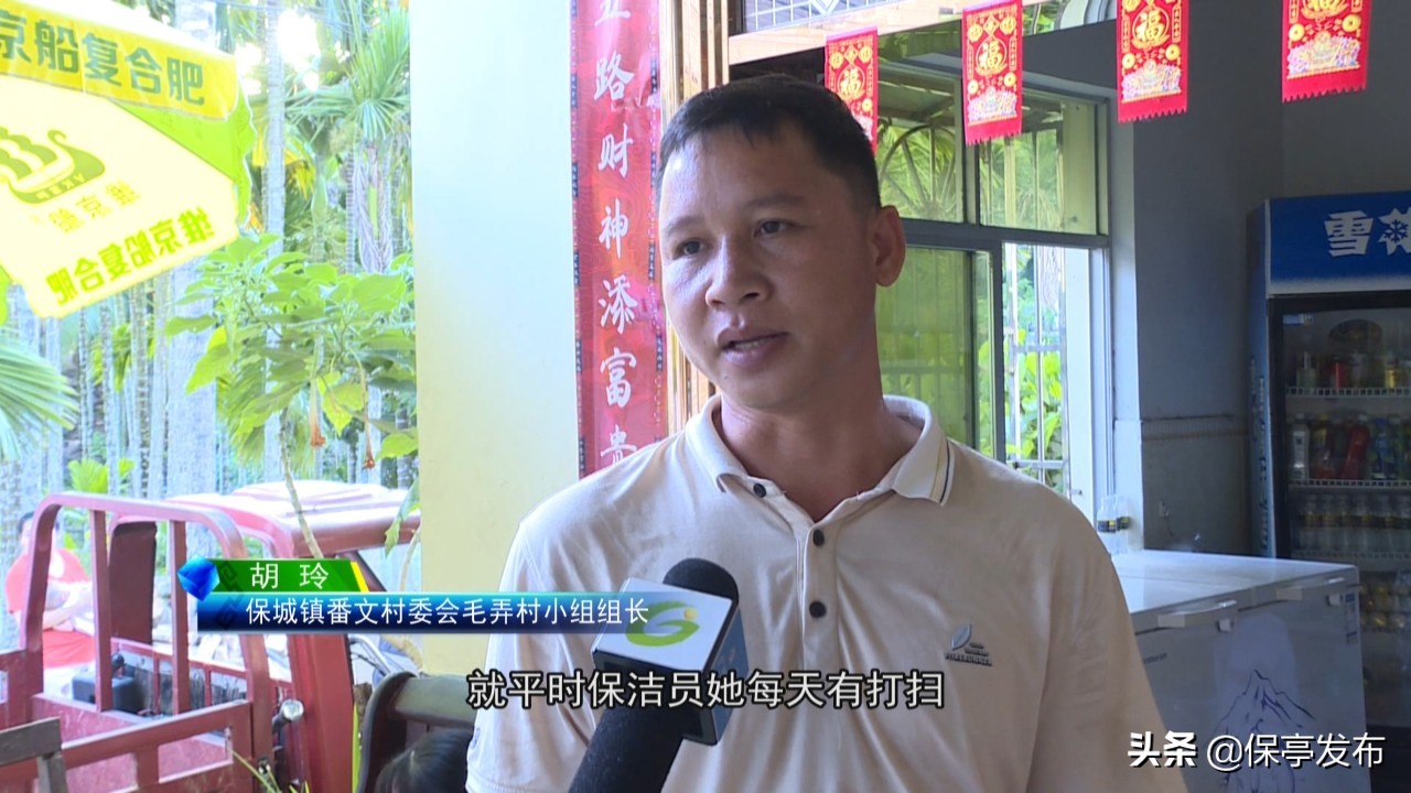 保亭县农村环境整治,保亭人居环境整治