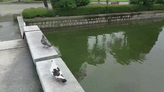 SnoppaVmate掌上防抖云台相机深度评测：日常视频轻松直出