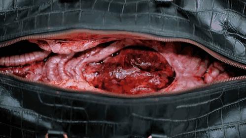 网络时代给我们带来的机遇和挑战,网络时代带给我们什么