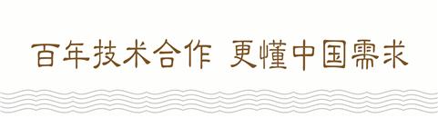 蒂森克虏伯电梯家用系列,蒂森克虏伯家用别墅电梯