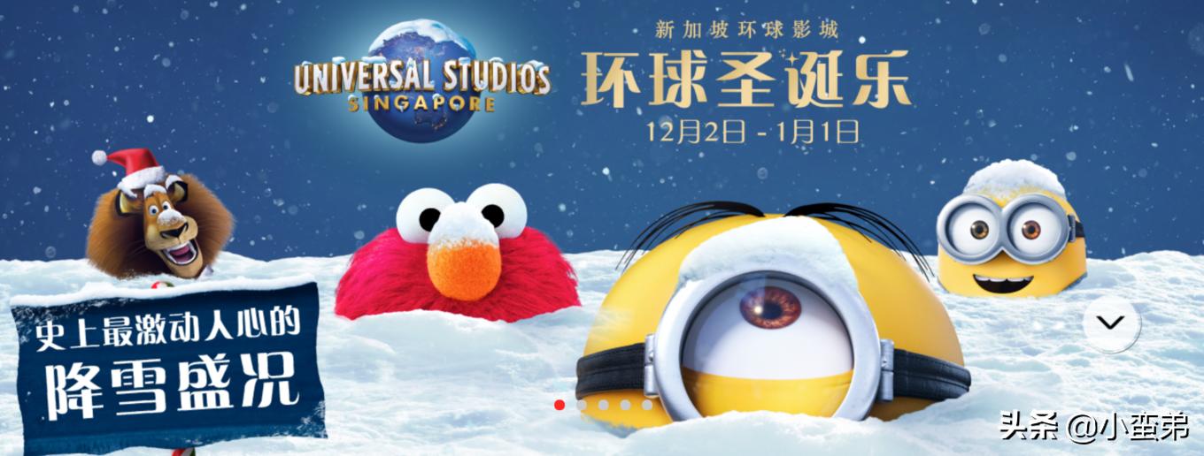 5年之许,小白逆袭重返新加坡