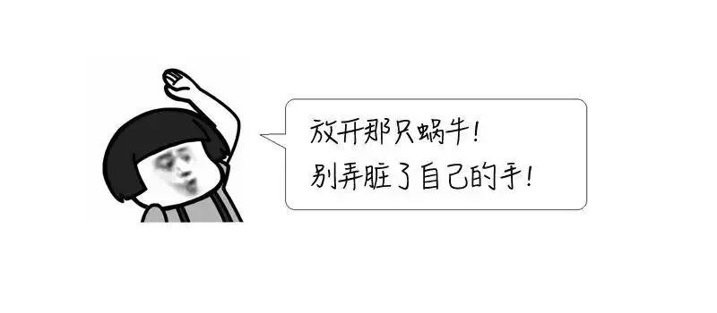 广州近期出现的变异蜗牛,深圳雨后巨型蜗牛