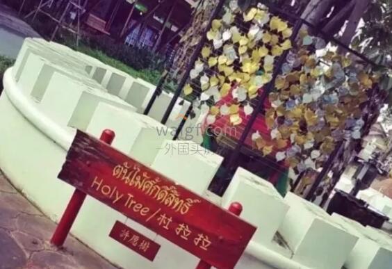 过来人告诉你芭提雅的N+1种玩法