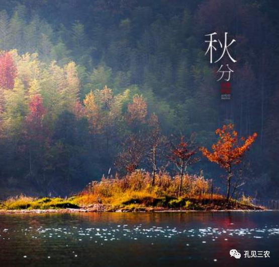 今天是秋分上午好问候图片,今天是秋分节的感悟