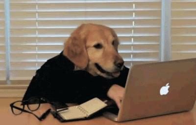 房企一般都有哪些职位,房企有哪些岗位