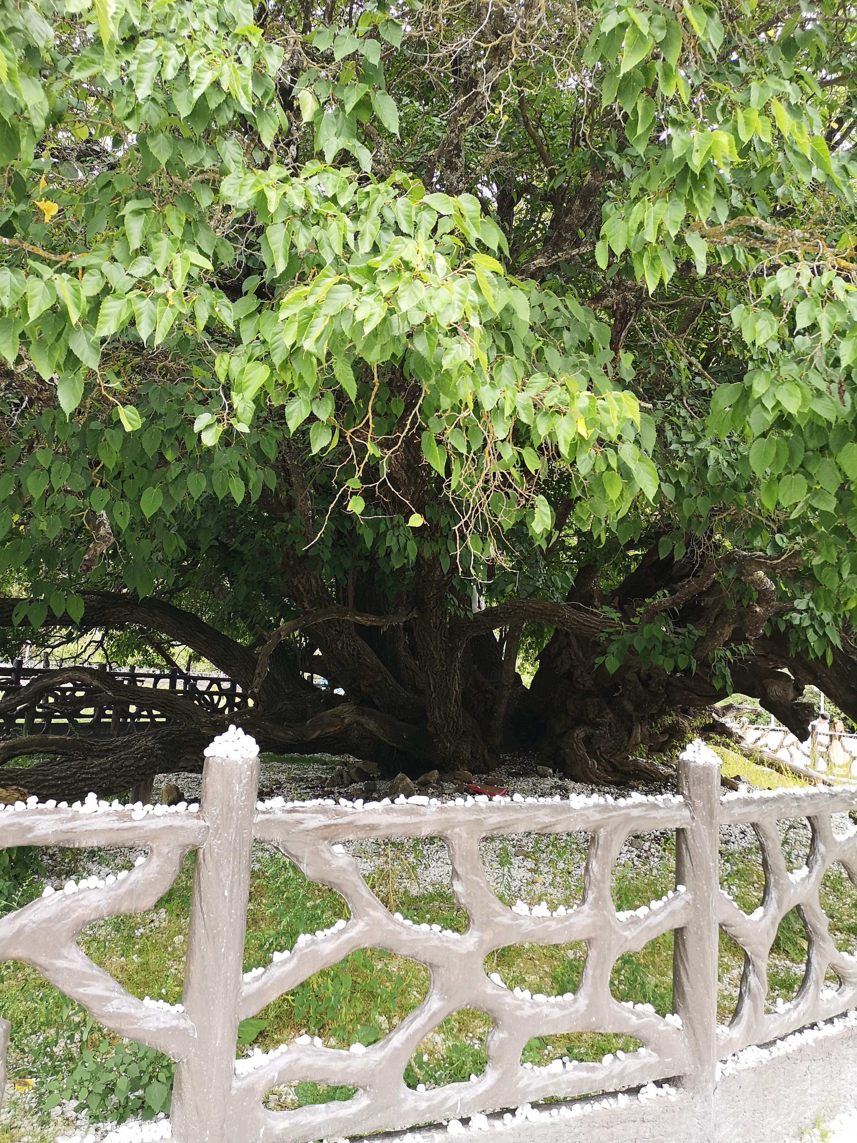 原来西藏的美景在藏西,去一趟西藏吧